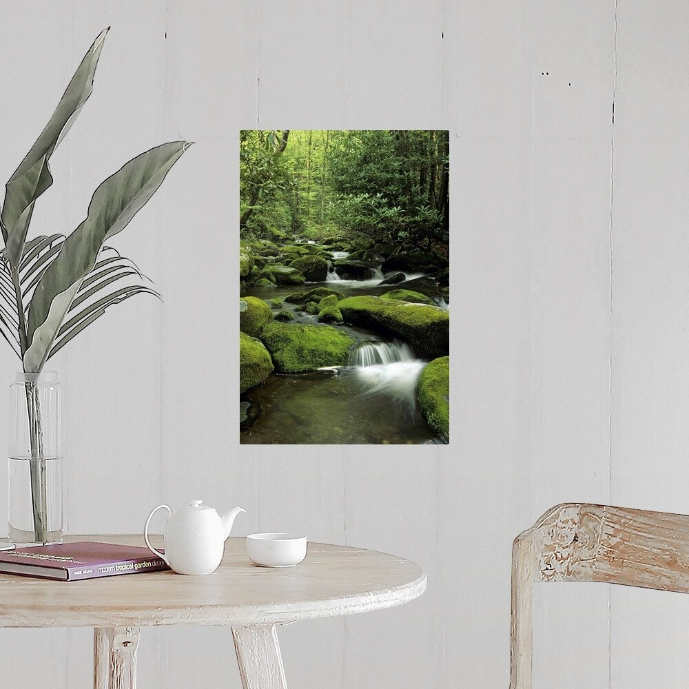 "Mountain stream, Great Smoky Mountains National Park, Tennessee" Poster Print - Multi