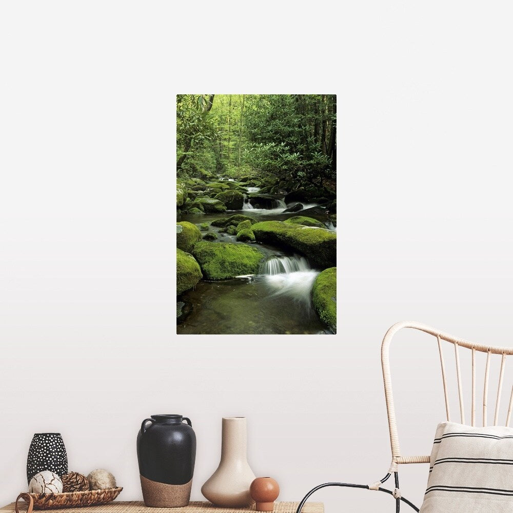"Mountain stream, Great Smoky Mountains National Park, Tennessee" Poster Print - Multi