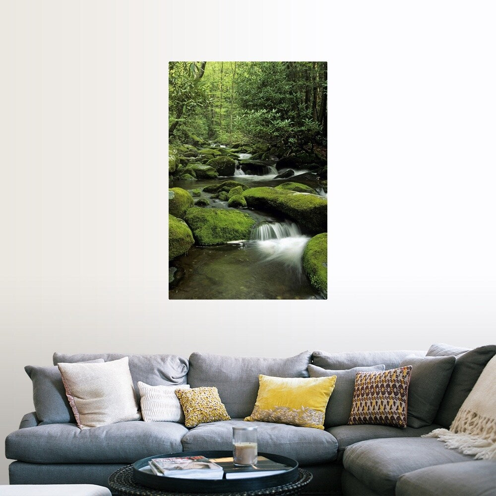 "Mountain stream, Great Smoky Mountains National Park, Tennessee" Poster Print - Multi
