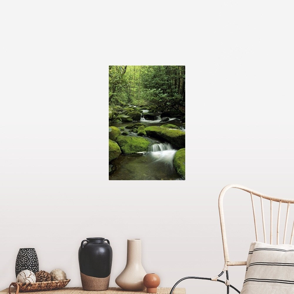 "Mountain stream, Great Smoky Mountains National Park, Tennessee" Poster Print - Multi
