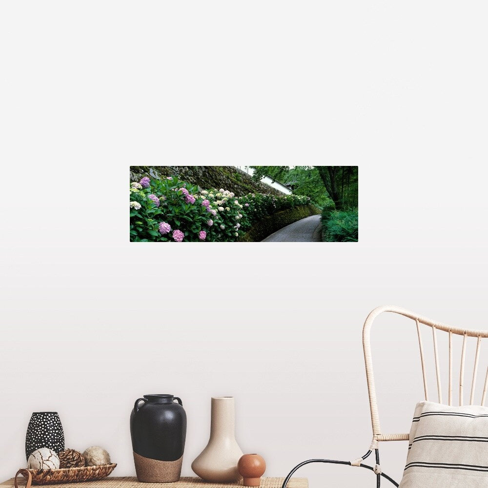 "Old Wall with Hydrangea Hasedera-sando Sakurai Nara Japan" Poster Print