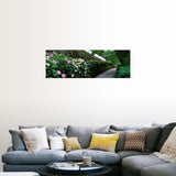 "Old Wall with Hydrangea Hasedera-sando Sakurai Nara Japan" Poster Print