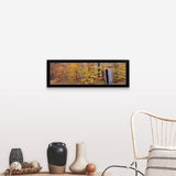 "Outhouse in a forest, Adirondack Mountains, New York State" Black Framed Print