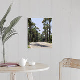 "Palm trees along a road, City of Los Angeles, California" Poster Print - Multi