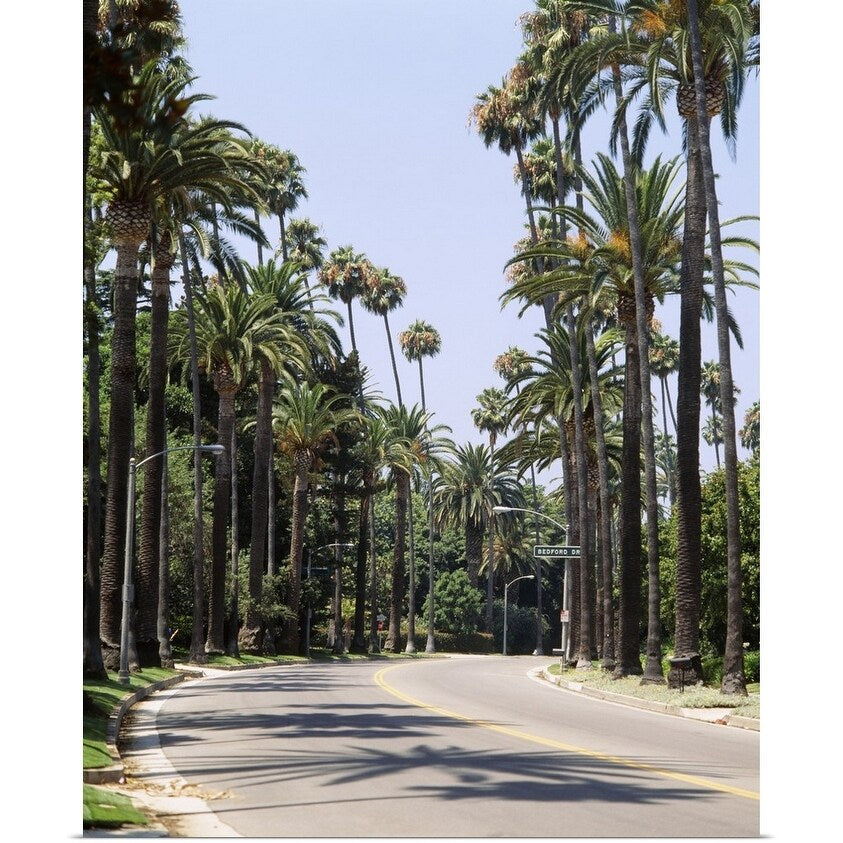 "Palm trees along a road, City of Los Angeles, California" Poster Print - Multi
