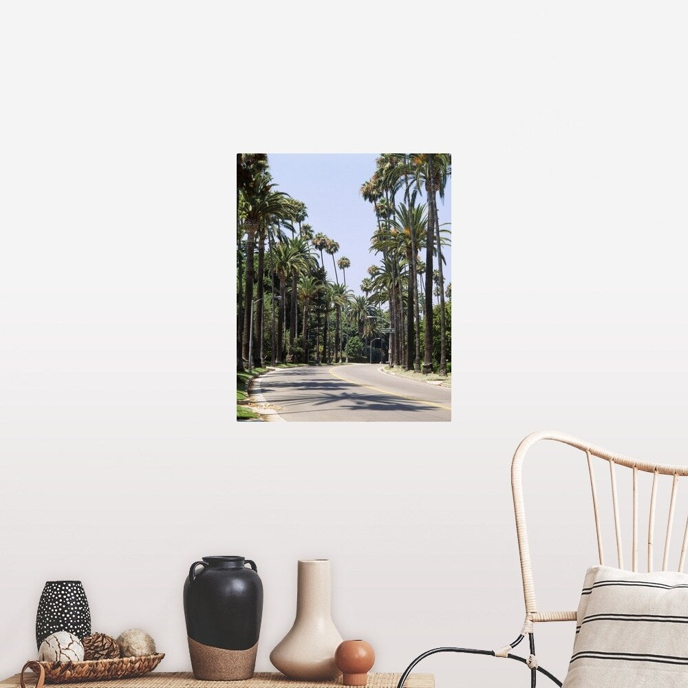 "Palm trees along a road, City of Los Angeles, California" Poster Print - Multi