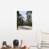 "Palm trees along a road, City of Los Angeles, California" Poster Print - Multi