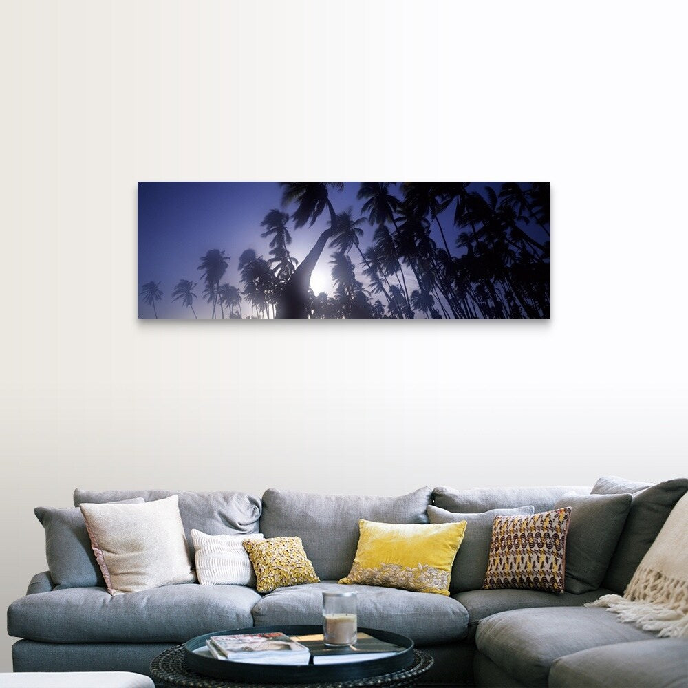 "Palm trees, Molokai, Hawaii" Canvas Wall Art