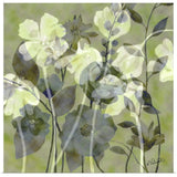 "Phantom Flowers" Poster Print