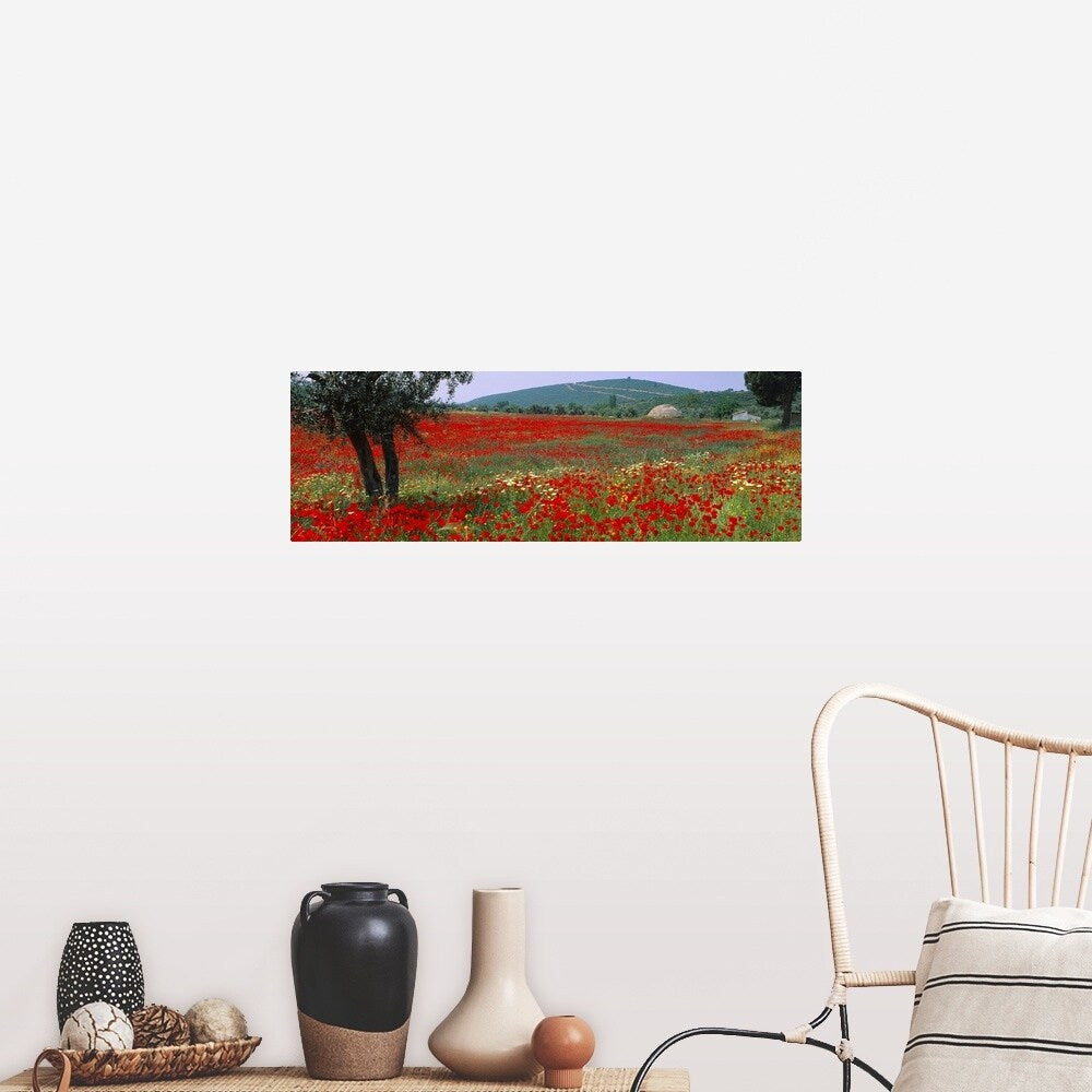 "Red poppies in a field, Turkey" Poster Print - Multi