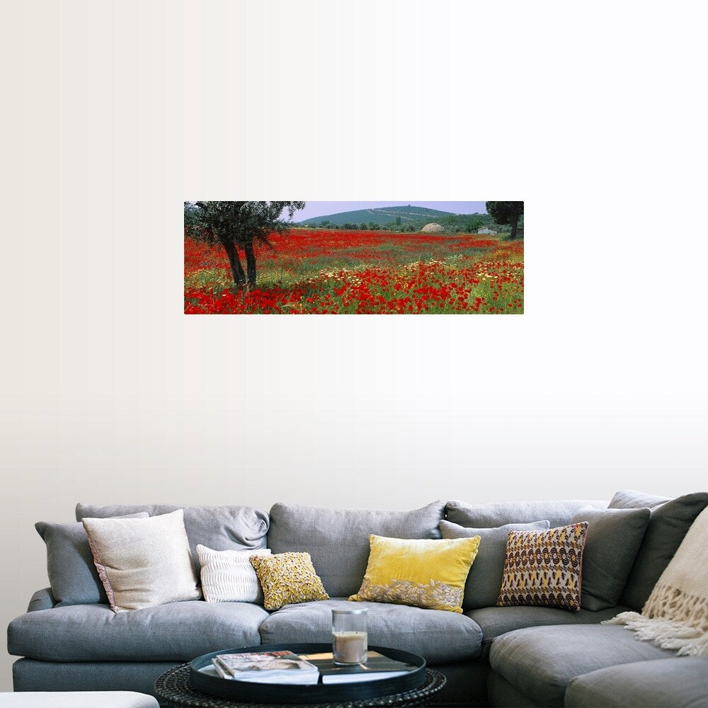 "Red poppies in a field, Turkey" Poster Print - Multi