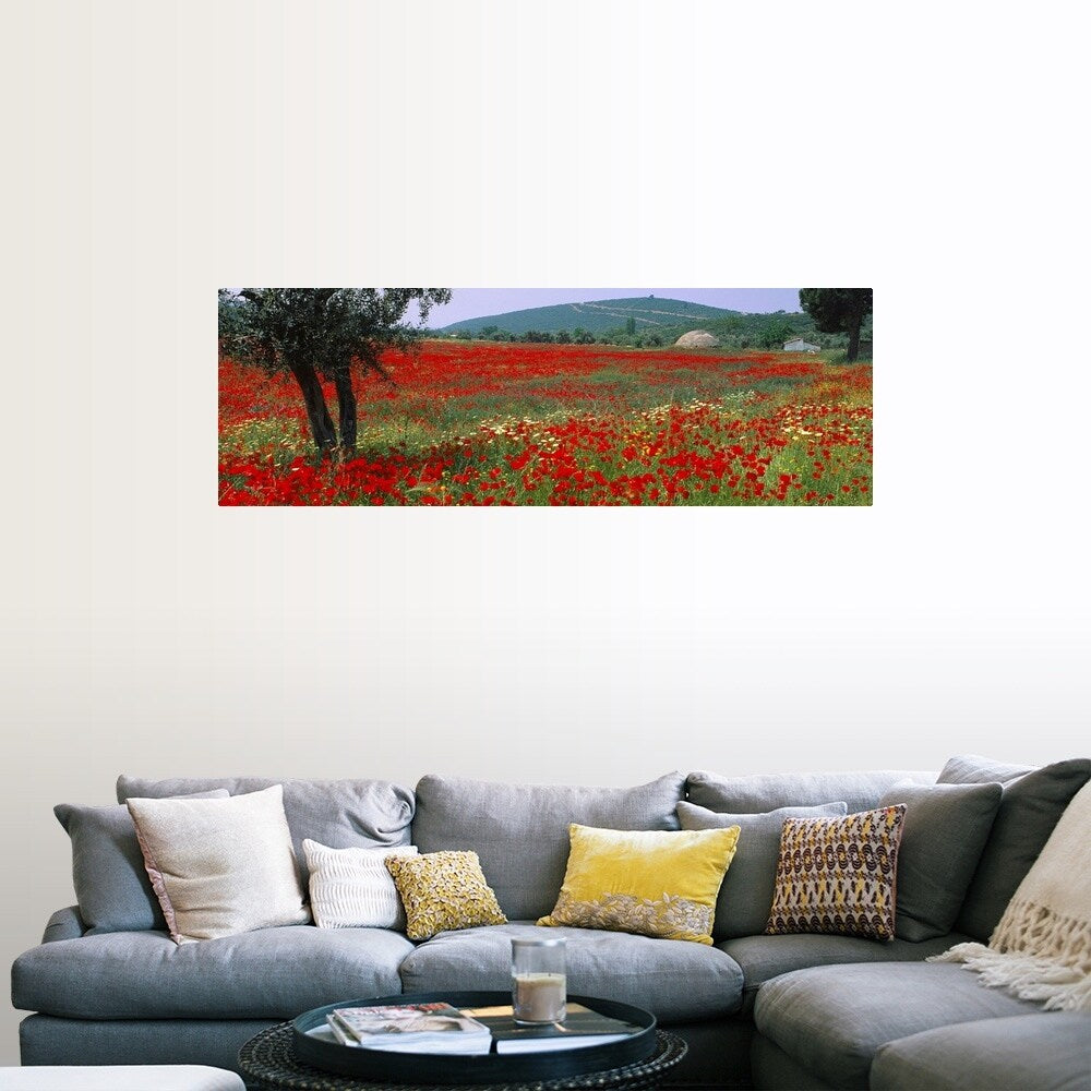 "Red poppies in a field, Turkey" Poster Print - Multi