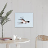 "Ruby-throated hummingbird in flight." Canvas Wall Art