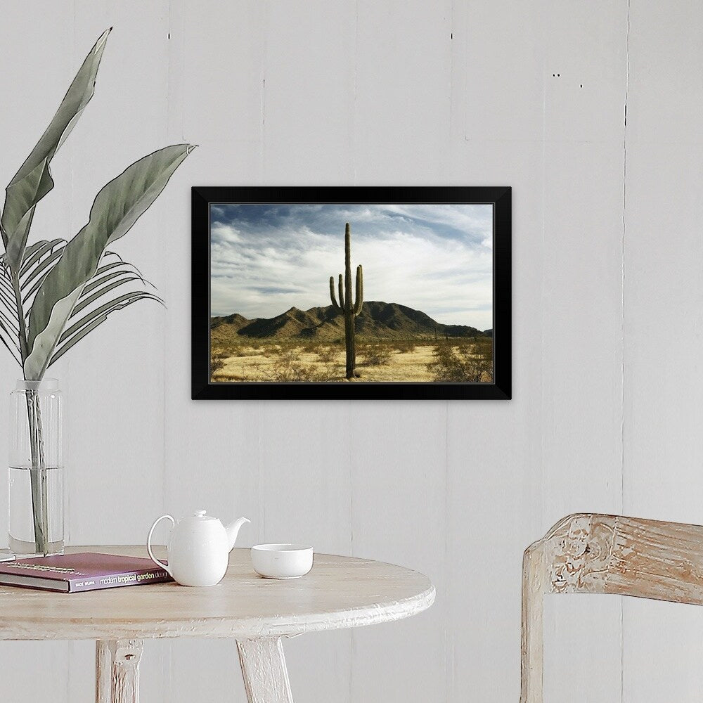 "Saguaro cactus" Black Framed Print