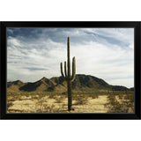 "Saguaro cactus" Black Framed Print