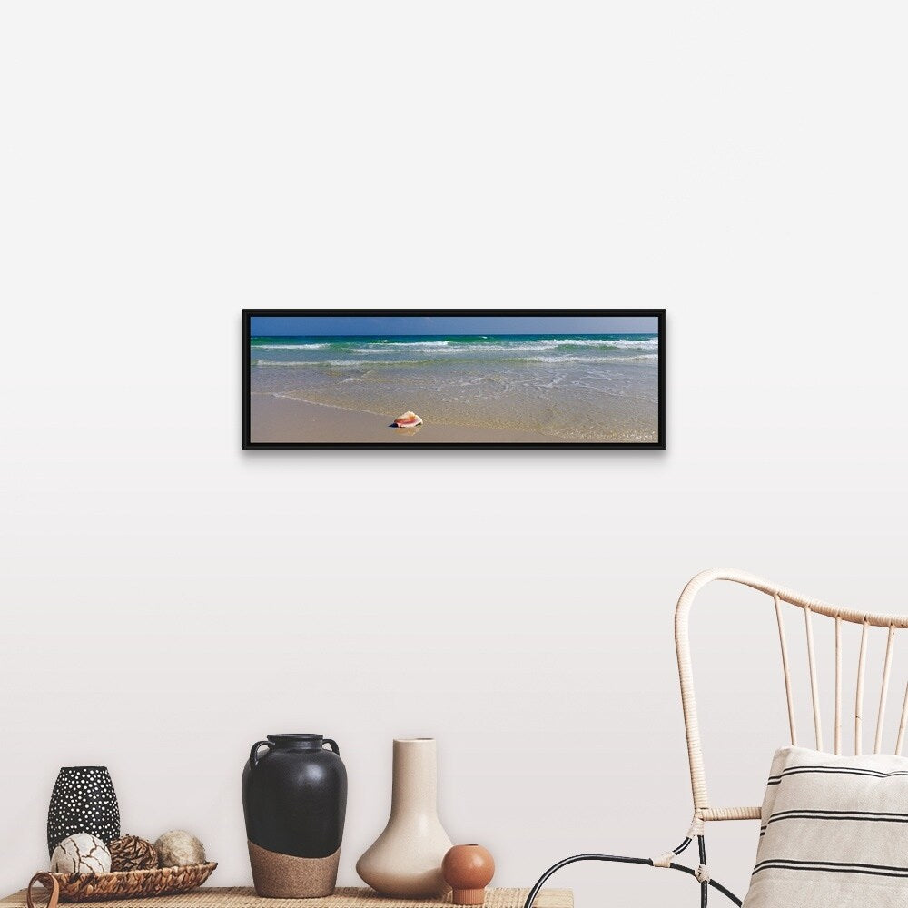 "Shell on the beach, Alabama, Gulf of Mexico" Black Float Frame Canvas Art