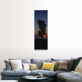 "Silhouette of a cotton wood tree at sunrise, Lake Erie, Michigan" Canvas Wall Art