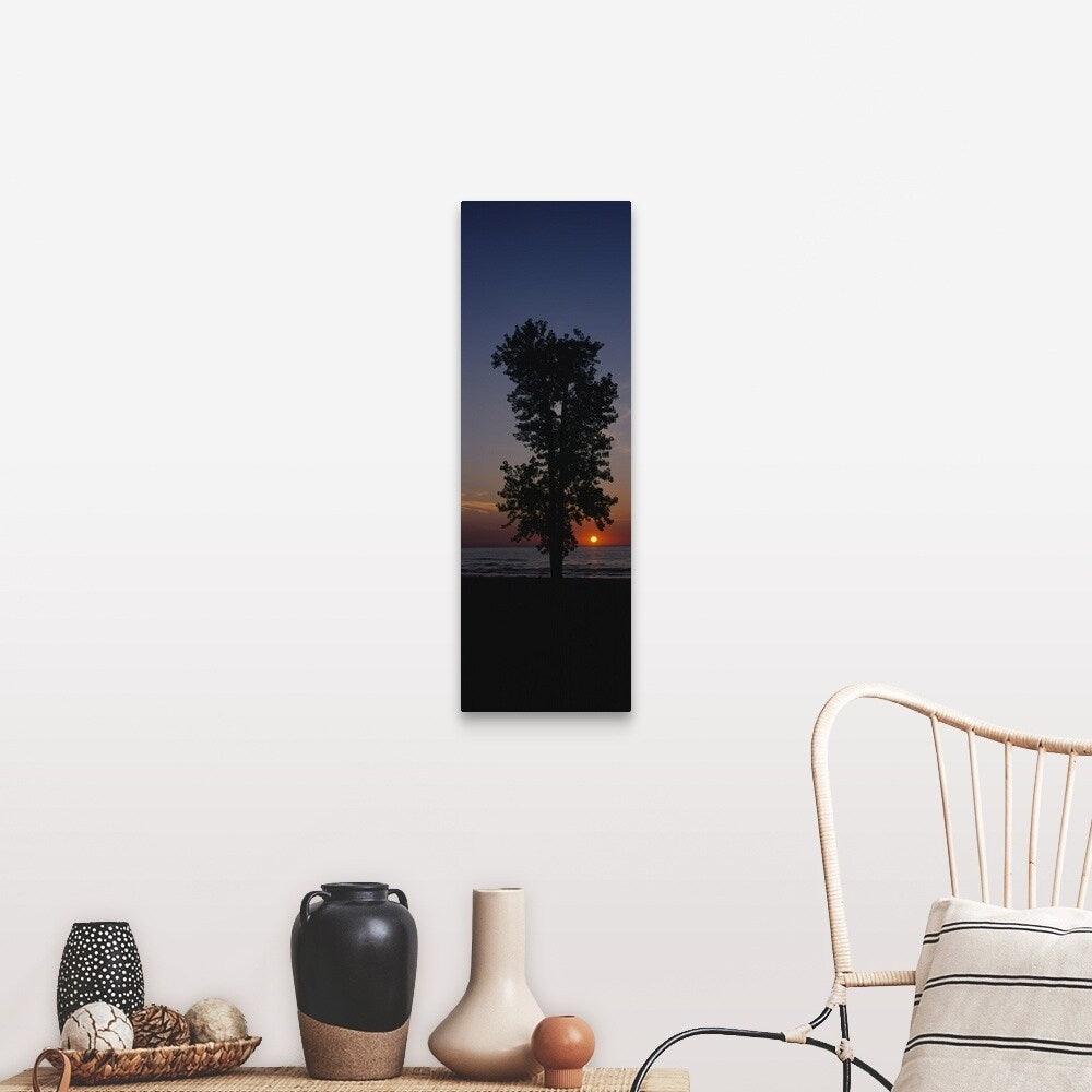 "Silhouette of a cotton wood tree at sunrise, Lake Erie, Michigan" Canvas Wall Art