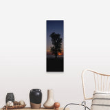 "Silhouette of a cotton wood tree at sunrise, Lake Erie, Michigan" Canvas Wall Art