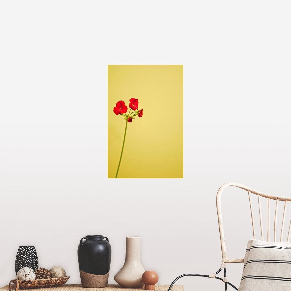 "Single geranium flowers on yellow background." Poster Print - Multi