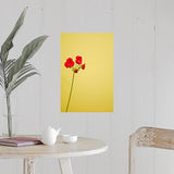 "Single geranium flowers on yellow background." Poster Print - Multi
