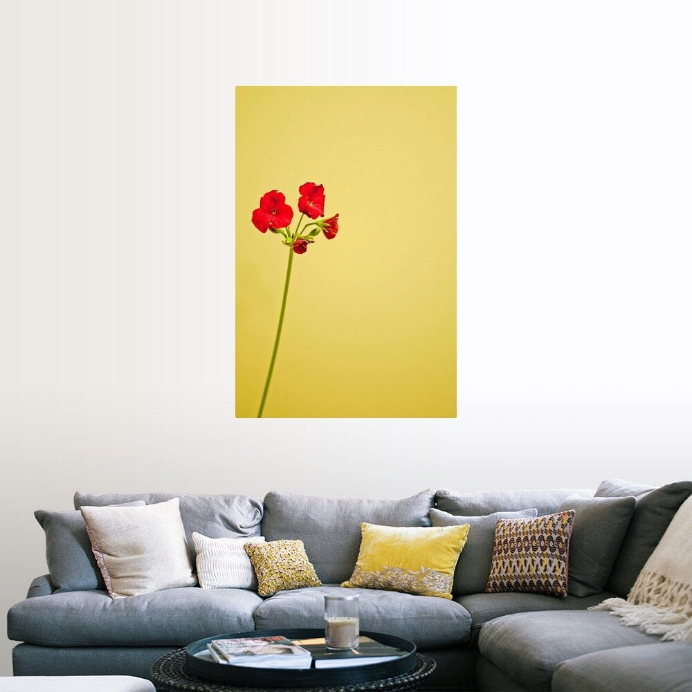 "Single geranium flowers on yellow background." Poster Print - Multi
