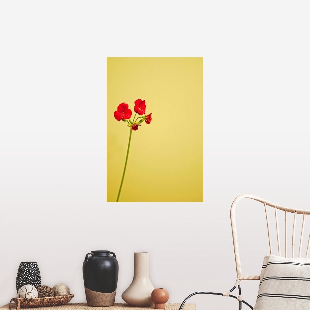 "Single geranium flowers on yellow background." Poster Print - Multi