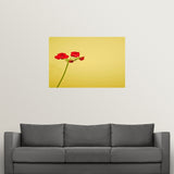 "Single geranium flowers on yellow background." Poster Print - Multi