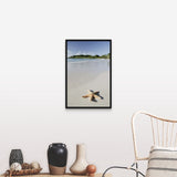 "Starfish on beach of Caribbean Sea, Virgin Islands" Black Float Frame Canvas Art