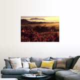 "Sunrise in Vineyards, Sonoma County, CA" Poster Print - Multi