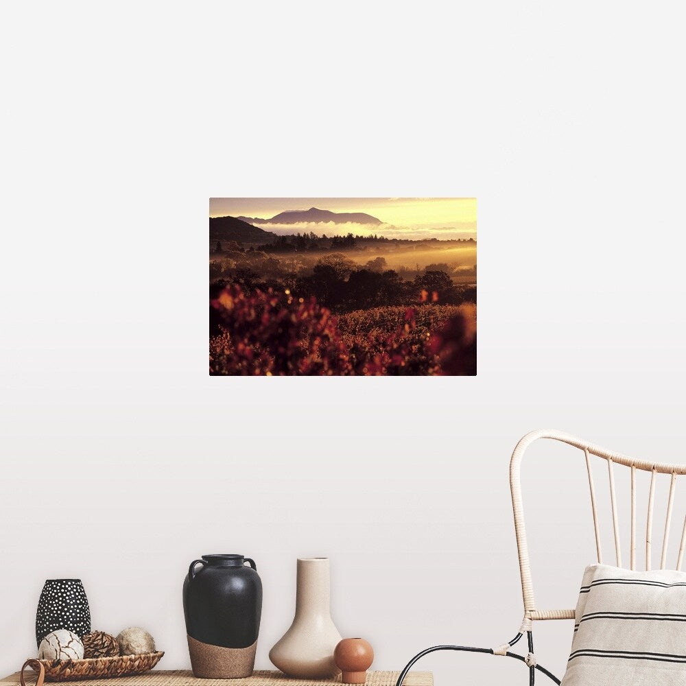 "Sunrise in Vineyards, Sonoma County, CA" Poster Print - Multi