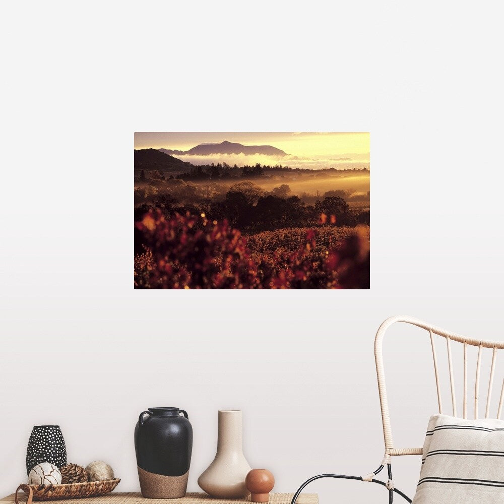 "Sunrise in Vineyards, Sonoma County, CA" Poster Print - Multi