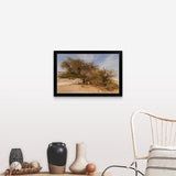 "Tree of Life, 400-year-old mesquite tree, near Jebel Dukhan." Black Framed Print