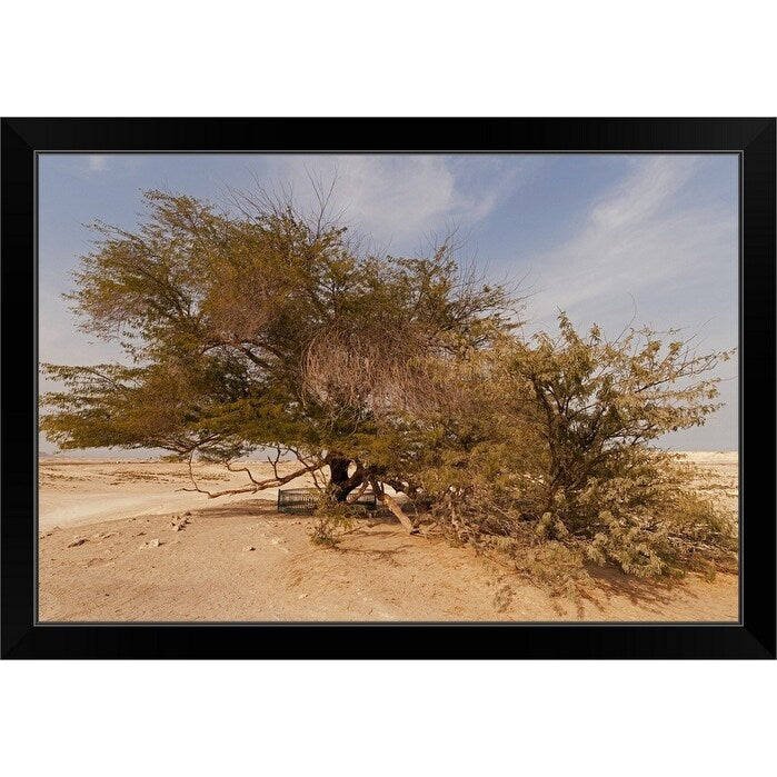 "Tree of Life, 400-year-old mesquite tree, near Jebel Dukhan." Black Framed Print