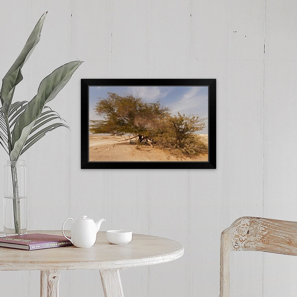 "Tree of Life, 400-year-old mesquite tree, near Jebel Dukhan." Black Framed Print