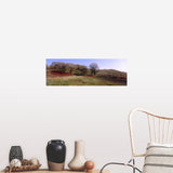 "Trees and wild flowers on a landscape, Seven Sisters Prairie, Minnesota" Poster Print