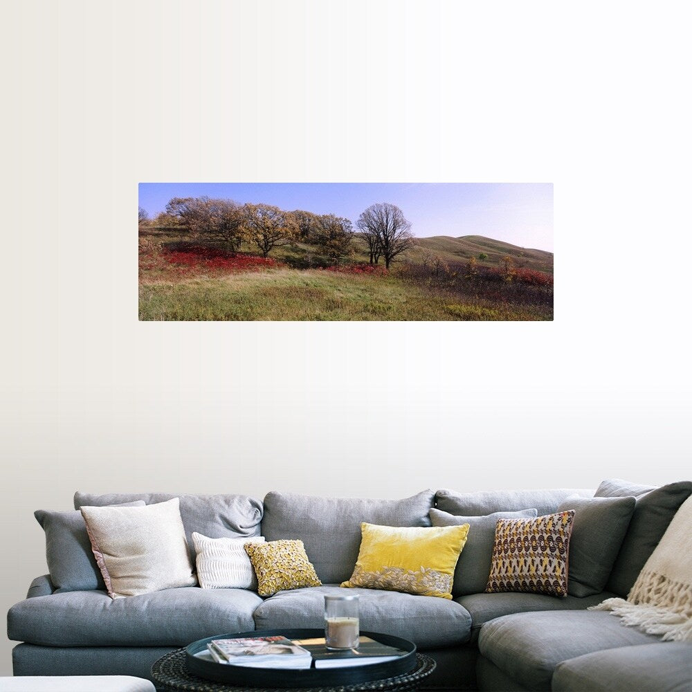 "Trees and wild flowers on a landscape, Seven Sisters Prairie, Minnesota" Poster Print