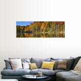 "Trees in autumn at Lake Hiawatha, Alger County, Upper Peninsula, Michigan" Poster Print - Multi