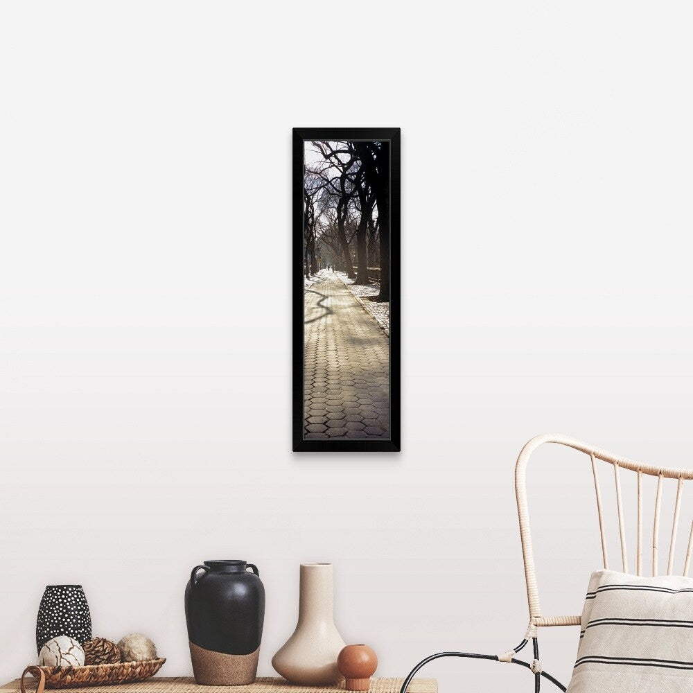 "Trees on both sides of a walkway, Central Park, Manhattan, New York City, New York" Black Framed Print