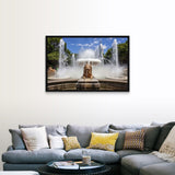 "USA, Puerto Rico, Ponce, Fountain of Lions at Plaza Las Delicias" Black Float Frame Canvas Art