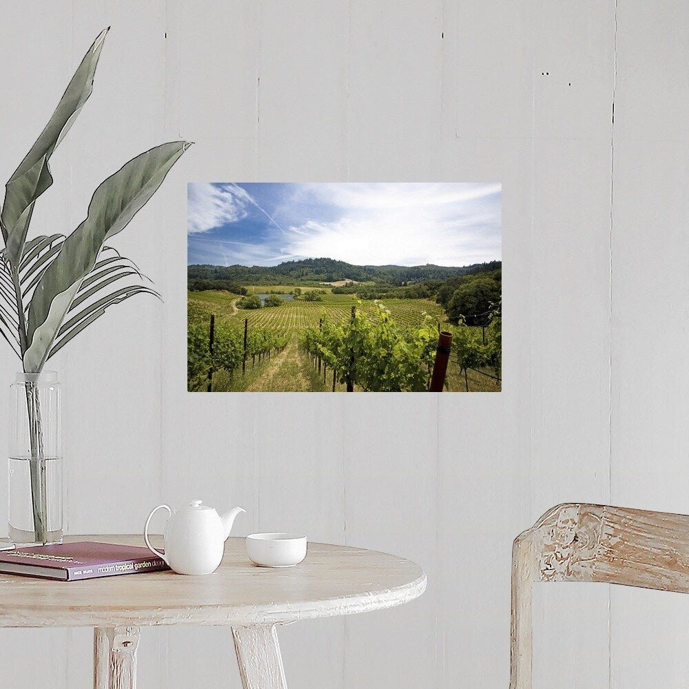 "Vineyard in Sonoma Valley, California" Poster Print - Multi