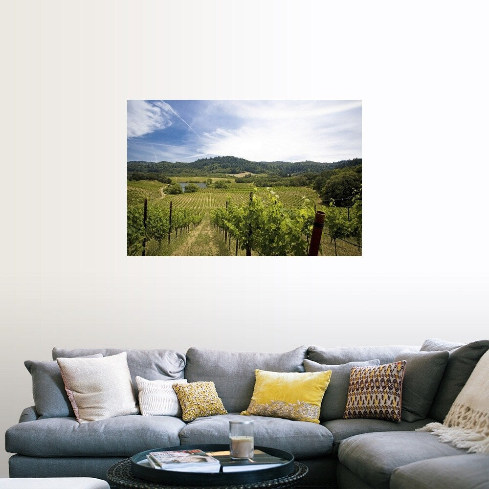 "Vineyard in Sonoma Valley, California" Poster Print - Multi
