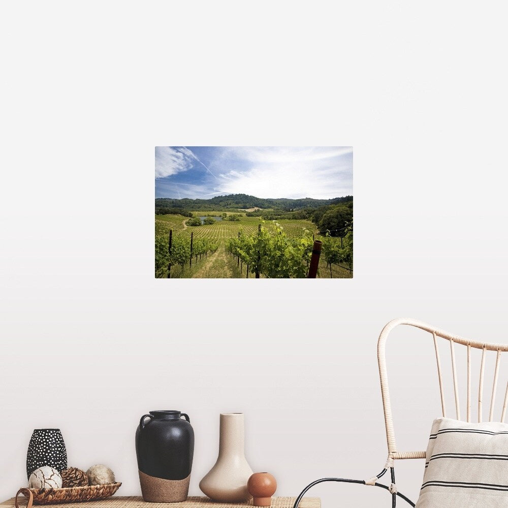 "Vineyard in Sonoma Valley, California" Poster Print - Multi