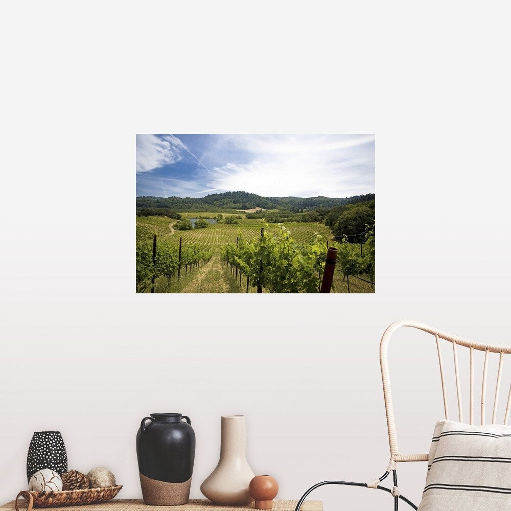 "Vineyard in Sonoma Valley, California" Poster Print - Multi