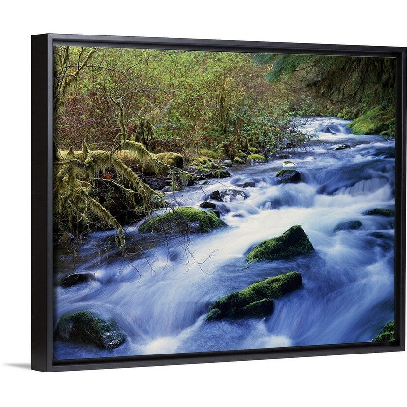 "Water Flowing Around Rocks" Black Float Frame Canvas Art