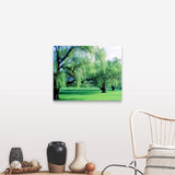 "Willow Trees" Canvas Wall Art
