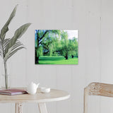 "Willow Trees" Canvas Wall Art