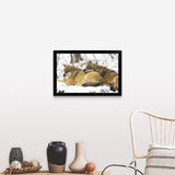 "Wolves in the Bavarian Wood" Black Framed Print