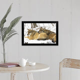 "Wolves in the Bavarian Wood" Black Framed Print