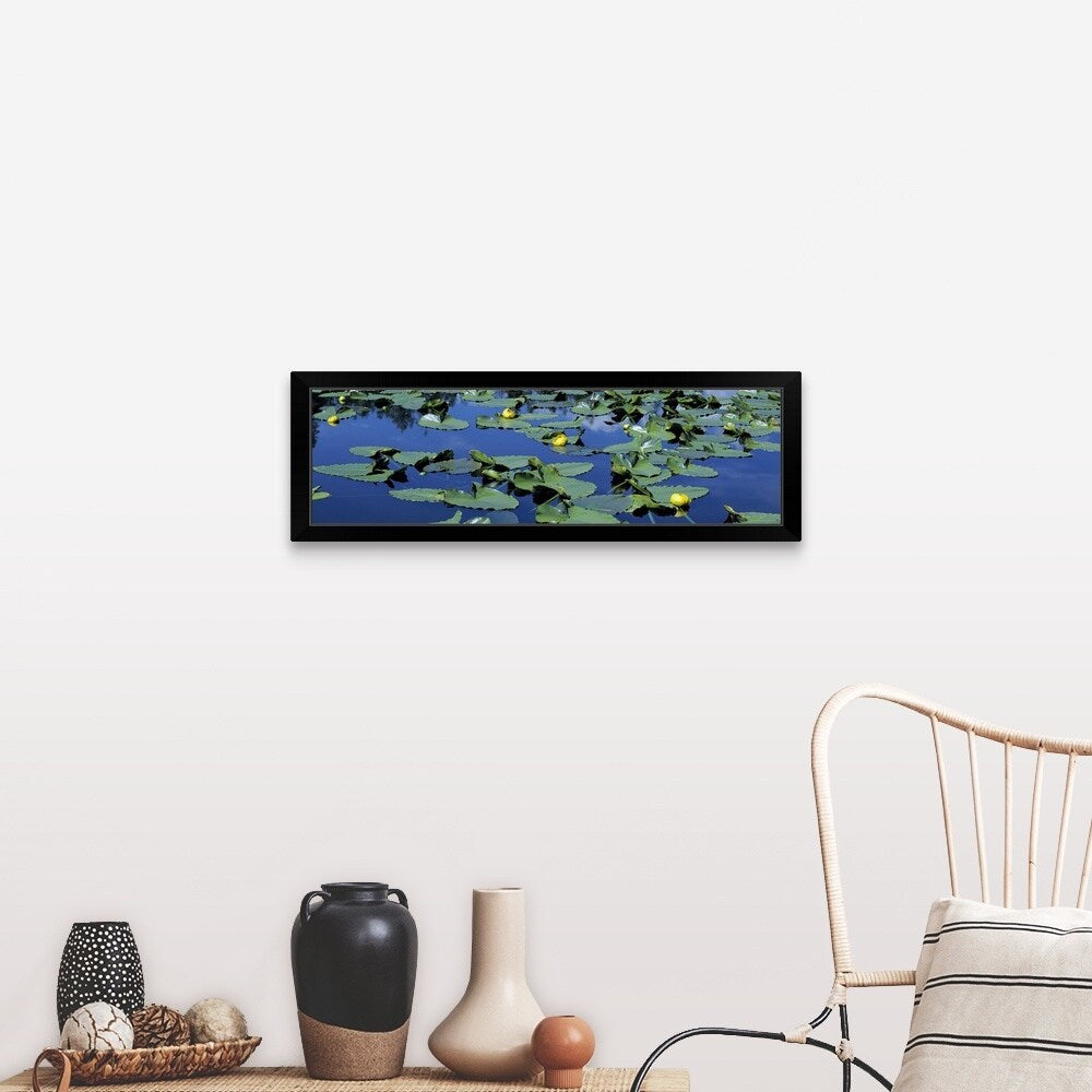 "Wyoming, Pond with lily pads" Black Framed Print